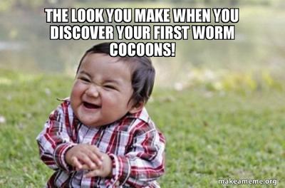 Worm Farming Cocoon Meme